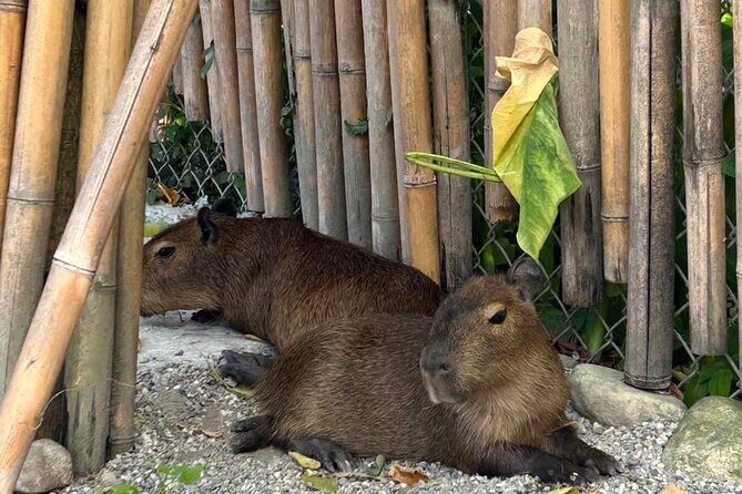 Hualien Tour in Qixingtan Beach, Liyu Lake, and Lintianshan Park - The Overall Value and Experience