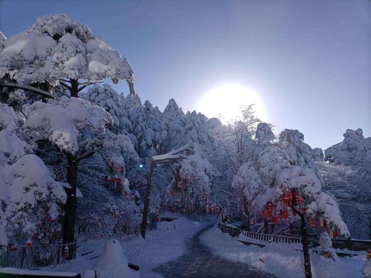 huangshan-mountain-top-day-trip-with-cable-car-and-pickup