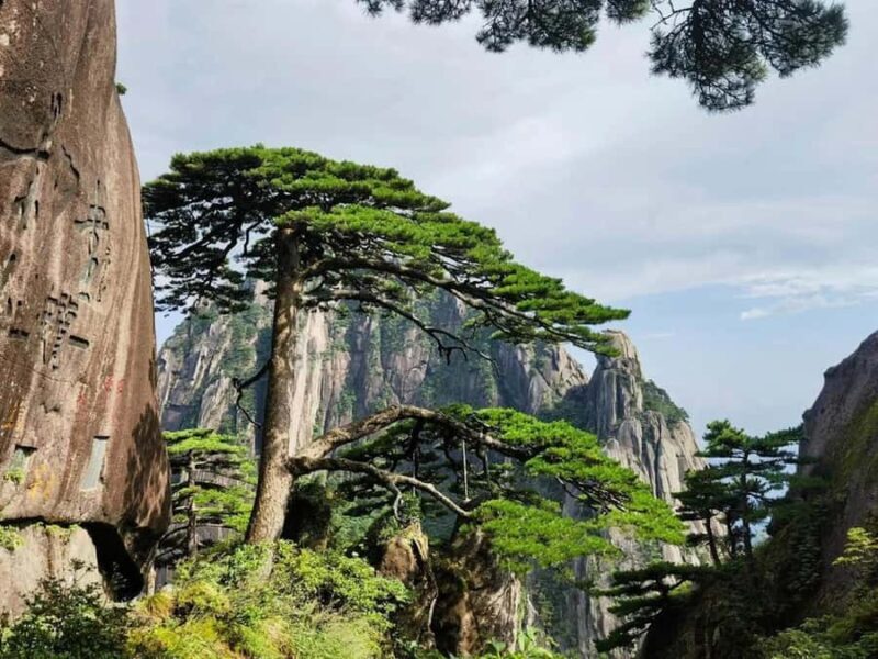 Huangshan: Yellow Mountains Private Guided Tour - What Makes This Tour Stand Out