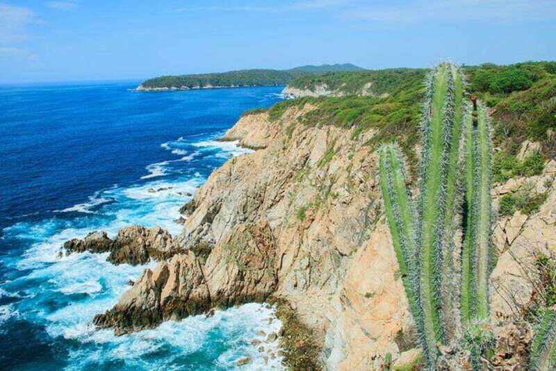 Huatulco: 5-Bay Exclusive Premium Panga Experience - Key Points