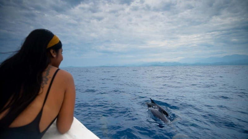 huatulco-awakening-with-stars-dolphins-boat-cruise
