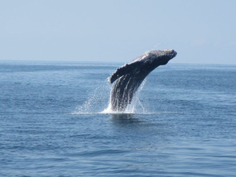 huatulco-bays-boat-tour-with-snorkeling-and-hotel-pickup
