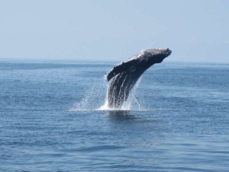 huatulco-bays-boat-tour-with-snorkeling-and-hotel-pickup