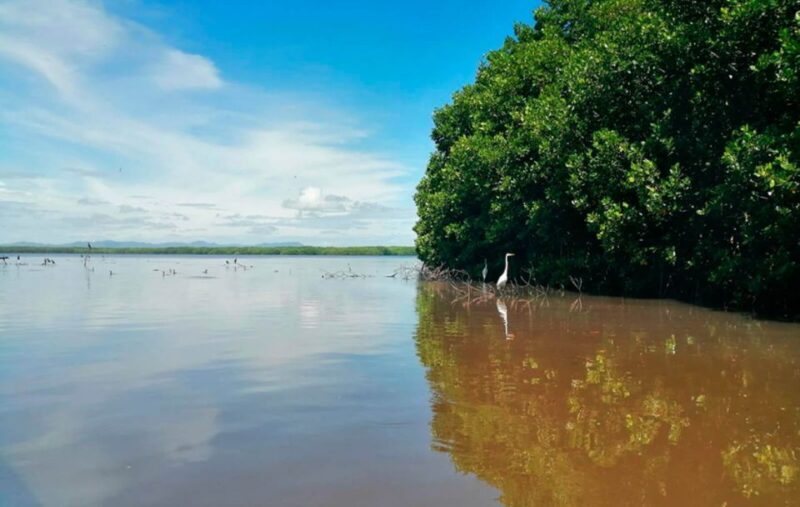 Huatulco: Laguna de Chacahua Exploration - What’s Included and What’s Not