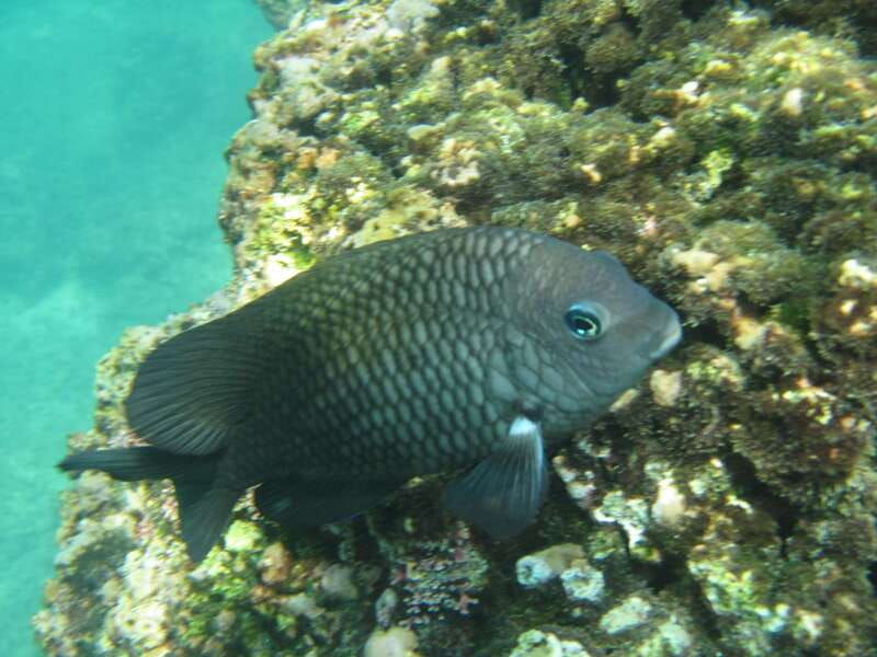 huatulco-premium-boat-tour-with-snorkel-experience