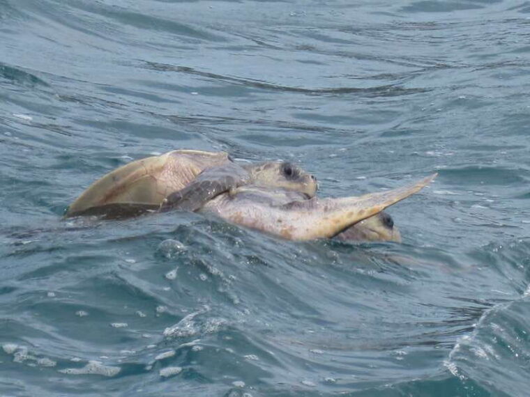 huatulco-premium-boat-tour-with-snorkel-experience