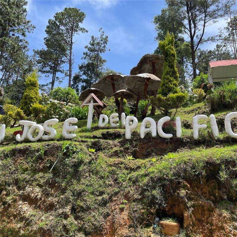 Huatulco: San Jose del Pacifico Day Trip - Analyzing the Value