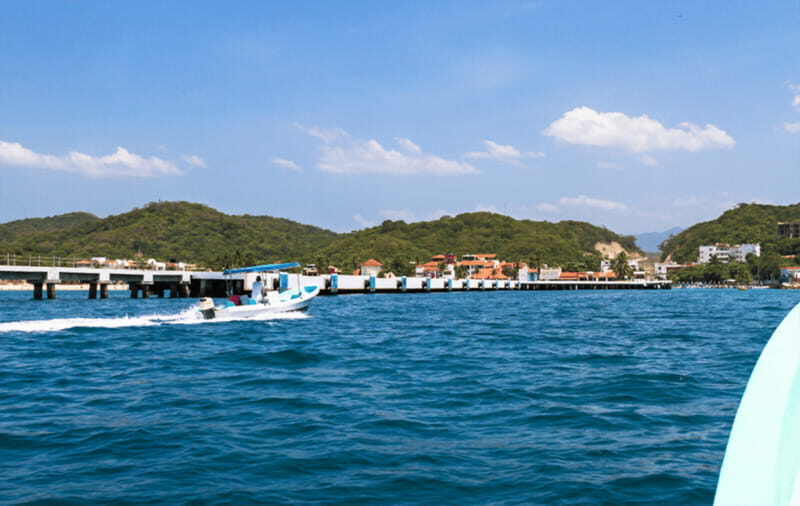 Huatulco: Sunrise Dolphin Watching with Beach Visit - Why This Tour Is Worth It