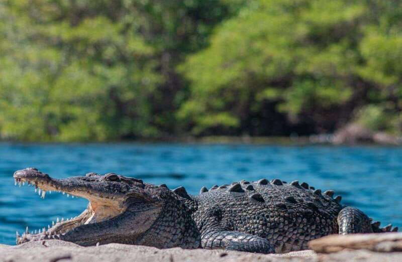 huatulco-ventanilla-zipolite-mazunte-and-puerto-angel-tour