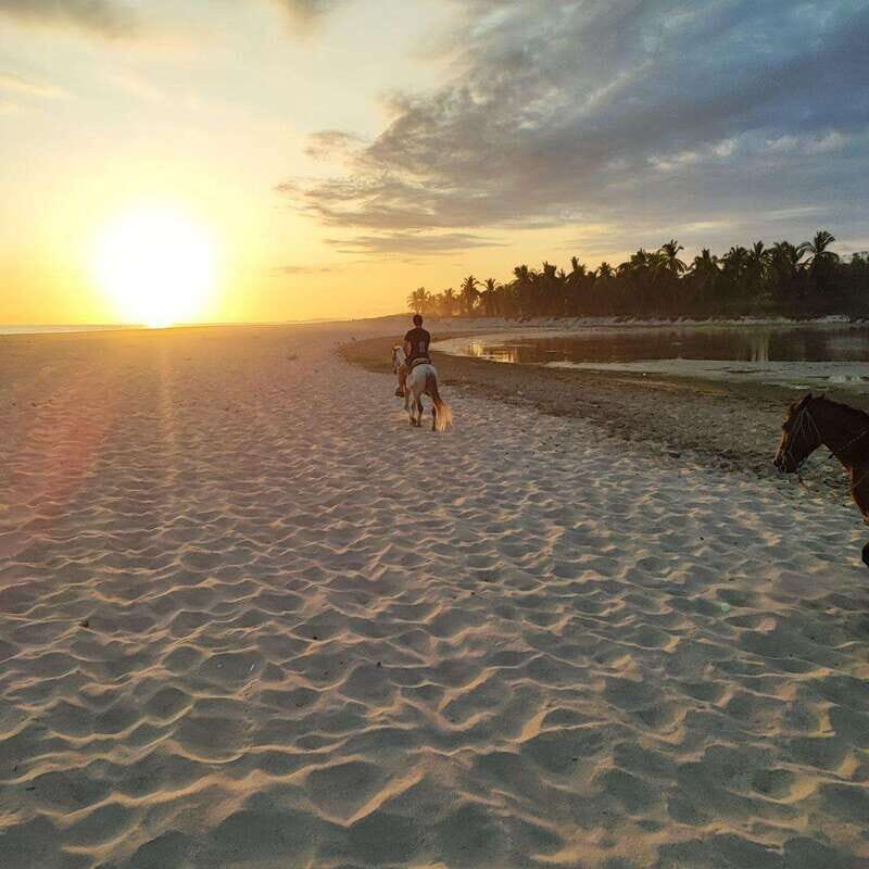 Huatulco:Turtle release,horseback riding and bioluminescence - A Closer Look at the Huatulco Tour Experience