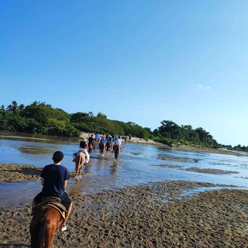 Huatulco:Turtle release,horseback riding and bioluminescence - Why This Tour Stands Out