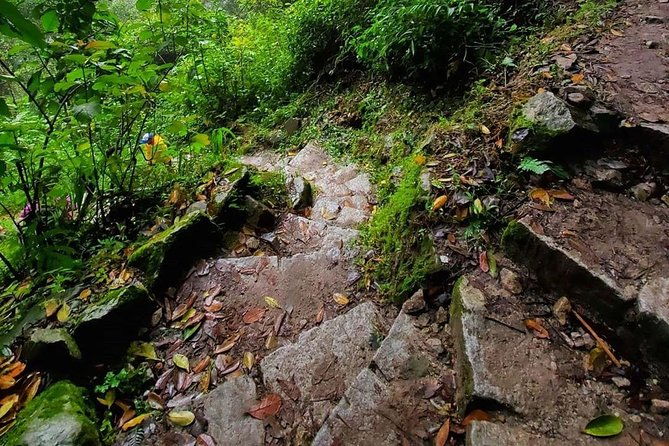 huayna-picchu-ticket