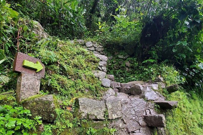 huayna-picchu-tour-in-1-private-day