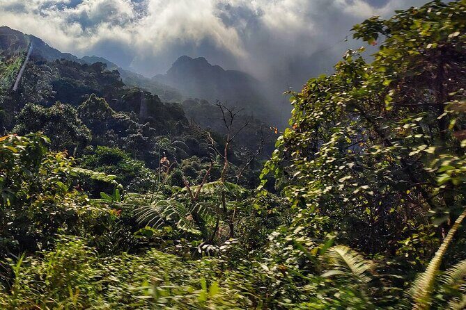 Hue Adventure Trekking and Sightseeing in Bach Ma National Park - What Makes This Tour Stand Out?