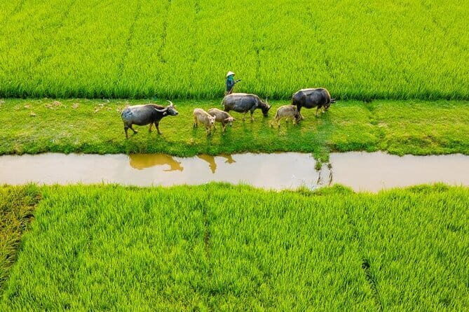 Hue Countryside Private Motorbike Tour and Crafts Experience - Stop 4: Thanh Toan Bridge – Historic Covered Bridge