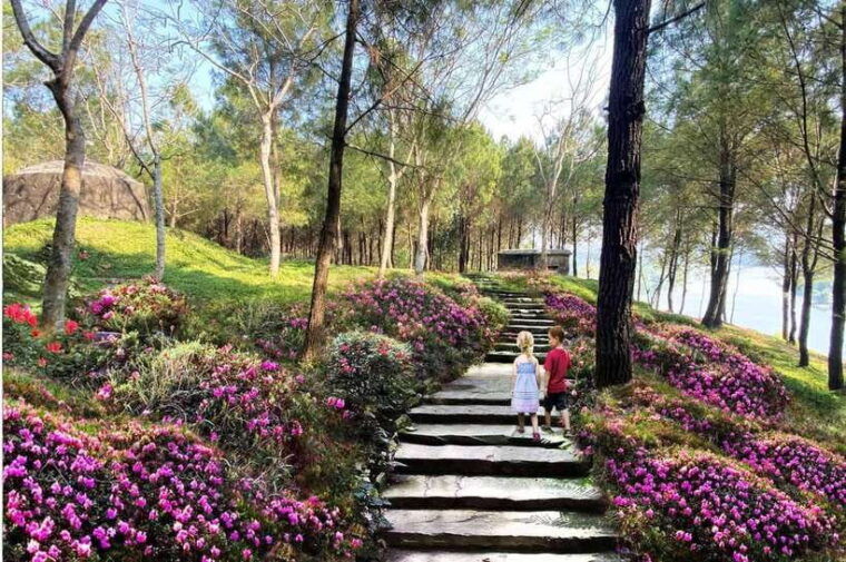 hue-explore-tam-giang-lagoon-full-day