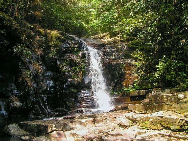 hue-full-day-bach-ma-national-park-trek-and-beach-retreat