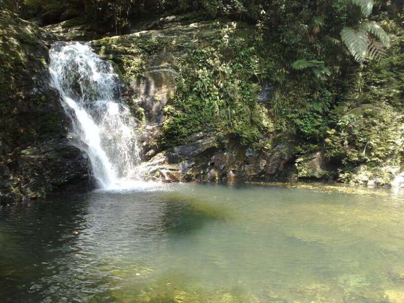 hue-full-day-bach-ma-national-park-trek-and-beach-retreat
