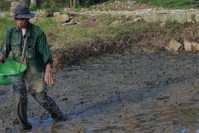 Hue Half-Day Private Tour: Thanh Toan village & Imperial Citadel - Frequently Asked Questions