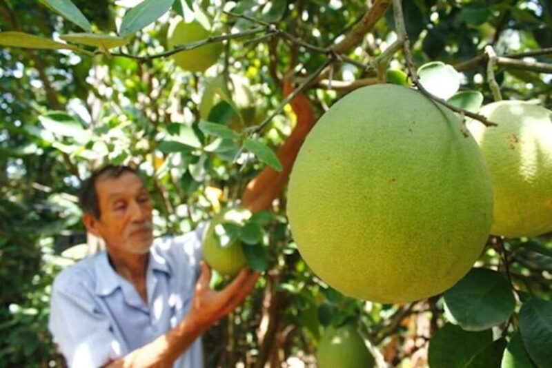 Hue: Half-day Thuy Bieu Village Cycling Adventure - Introduction