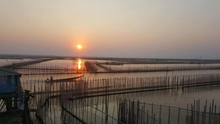 hue-half-day-yellow-tam-giang-lagoon-sunset-tour