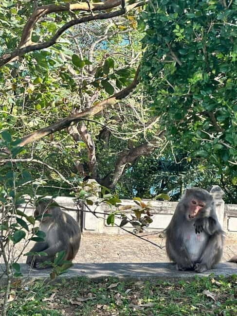 Hue: Private Car to/from Hoi An via Multi Attractions(1-Way) - Why This Tour Works for Different Travelers