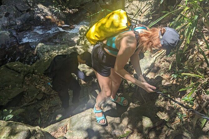 Hue to Bach Ma National Park: Trekking & Nature Adventure - An In-Depth Look at the Bach Ma National Park Trekking Tour