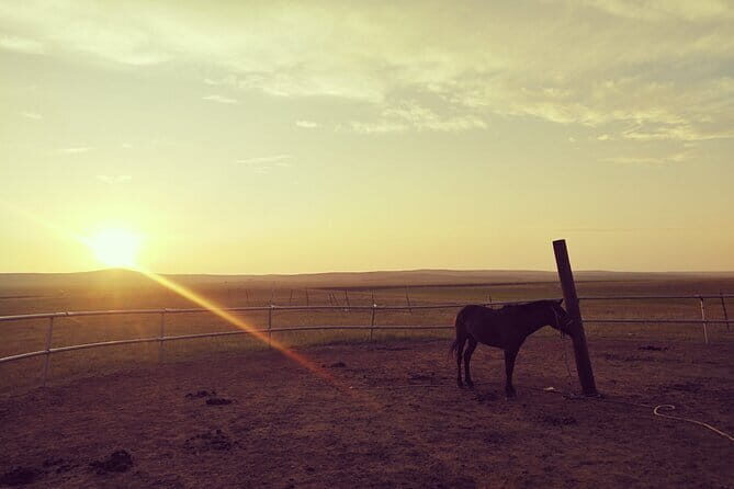 Huhhot Inner Mongolia 3 Days Xilamuren kubuqi Desert Nature Tour - An In-Depth Look at the 3-Day Inner Mongolia Tour