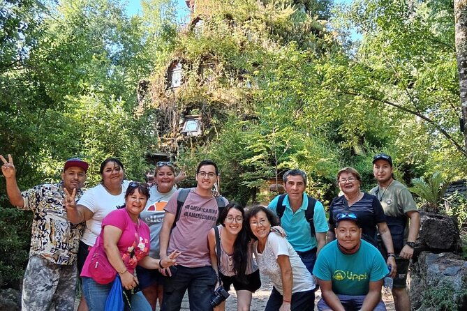 huilo-huilo-reserve-tour-from-valdivia-with-lunch