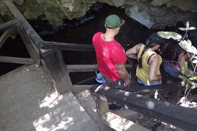 huilo-huilo-reserve-tour-from-valdivia-with-lunch