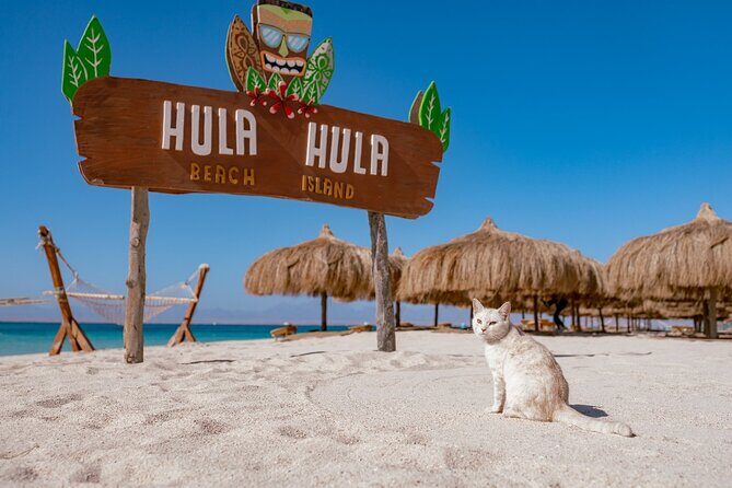 Hula Hula Island Snorkeling Sea Trip and Water Sport - Hurghada - Key Points