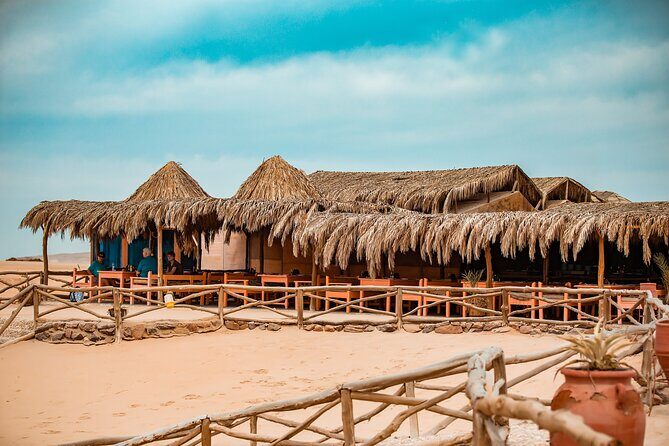 Hula Hula Island Snorkeling Sea Trip With Lunch - Hurghada - Additional Costs and Considerations