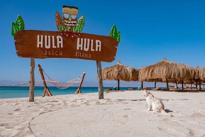 Hula Hula Island Snorkeling Trip Lunch & Water Sports - Hurghada - Introducing the Hula Hula Island Snorkeling Trip from Hurghada
