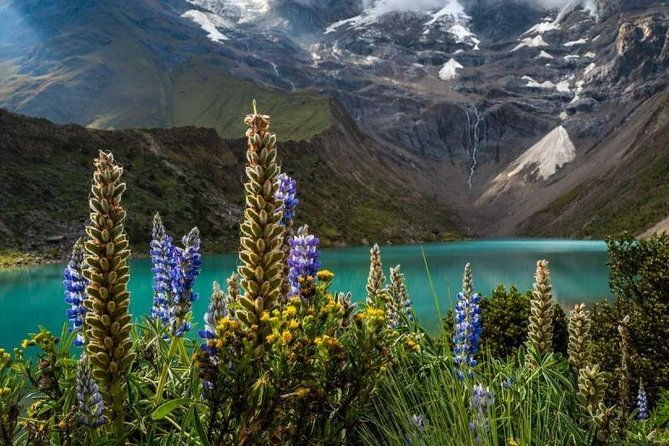 humantay-lagoon-full-day-tour