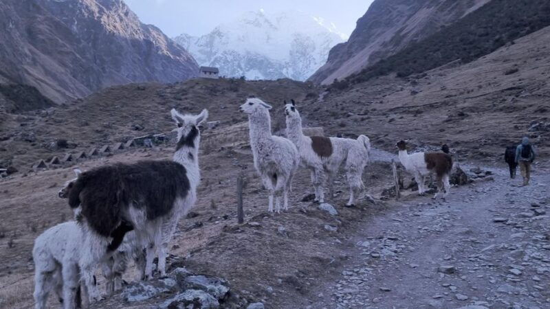 humantay-lake-tour-and-machu-picchu-tour-by-train