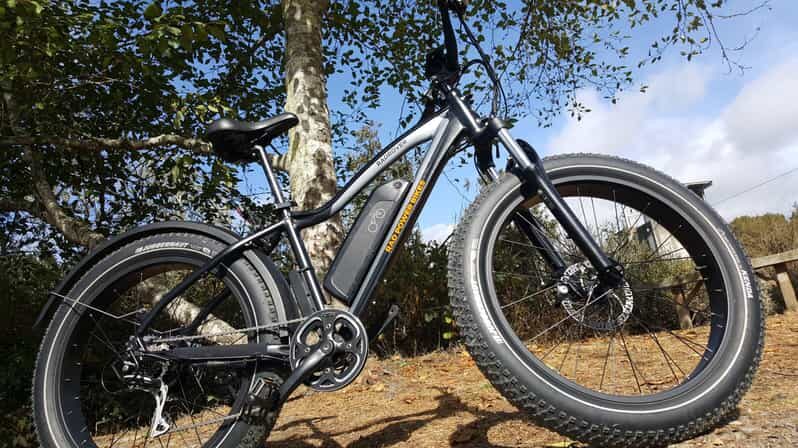 Humboldt: Electric Bike Rentals (4-Hour or Full Day options) - Discovering Humboldt with Electric Bike Rentals