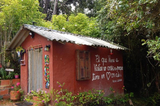 hummingbird-watching-private-tour-4-hrs