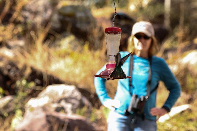 hummingbirds-of-the-sacred-valley-cusco