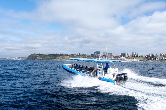 Humpback Whale Encounter Tour from Newcastle - An In-Depth Look at the Humpback Whale Encounter Tour