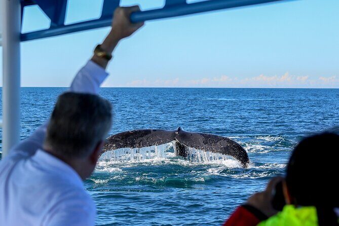 Humpback Whale Encounter Tour from Newcastle - FAQs