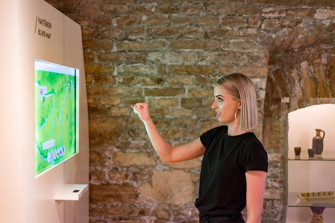 hungarian-gastro-cellar-assisted-tasting-options