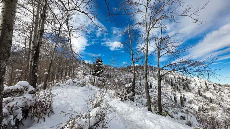 Hunns Village and Akbulak Adventure Day Tour - What We Love About the Tour