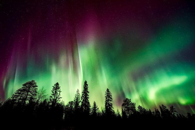 hunt-for-the-northern-lights-in-kiruna-abisko