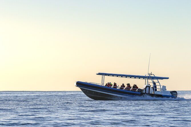Hunter Coastal Adventure Tour by Boat from Newcastle - FAQ