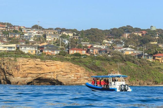 Hunter Coastal Adventure Tour by Boat from Newcastle - Key Points  