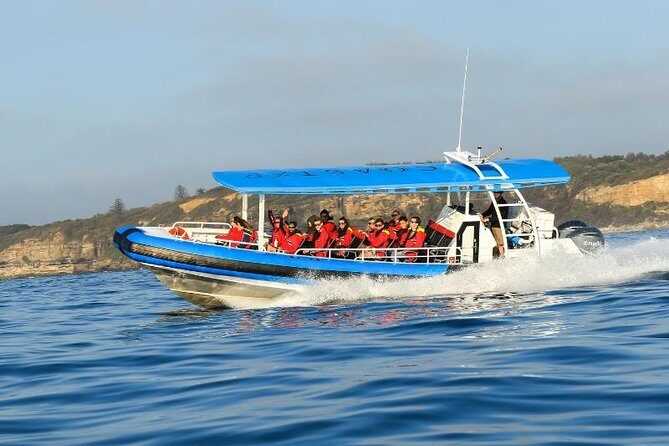 Hunter Coastal Adventure Tour by Boat from Newcastle - Wildlife Encounters & Scenic Highlights  