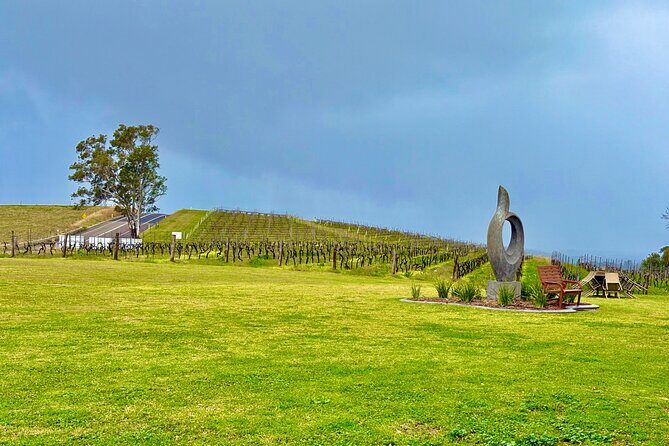 Hunter Valley Escape A Day of Wine Art and Aussie Countryside - The Practical Side: What You Need to Know