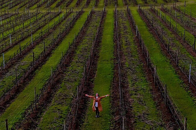 Hunter Valley Highlights Tour Wine Tasting & Small Group + Roos - Who Is This Tour Best For?