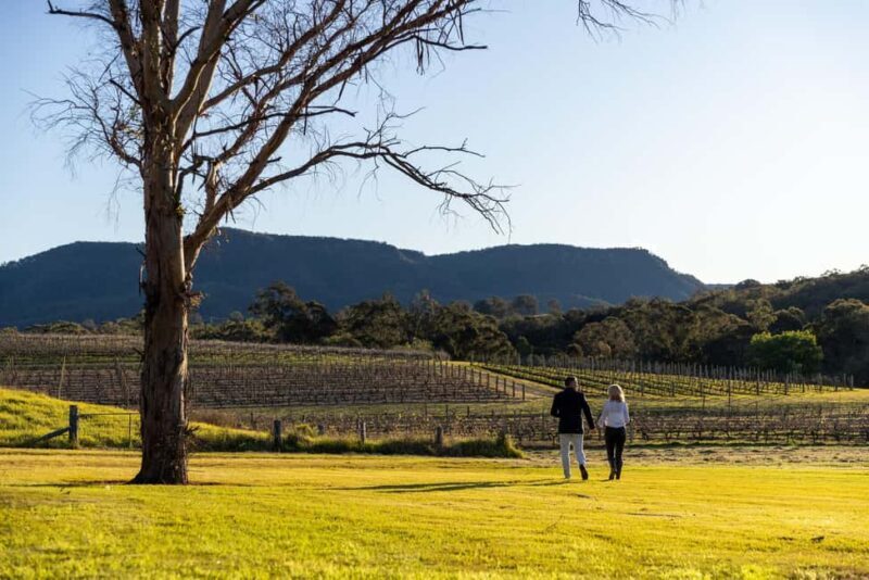Hunter Valley: Pooles Rock Premiere Wine Tasting - Key Points