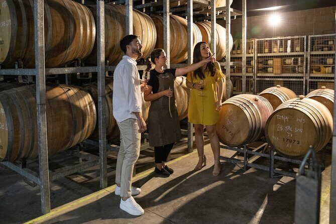 Hunter Valley Premium Tastings with Lunch - Why Choose This Tour?